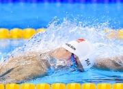 开云体育下载-暗夜极速交响曲，爱德华兹在F1街道赛的绝对主宰