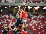 开云官方app入口-从浙江到世界，杰伦·格林在2026世界杯的老鹰时刻