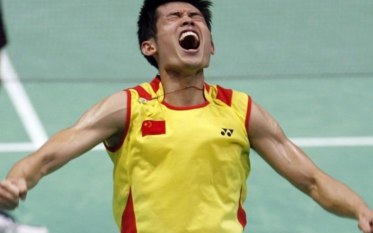 包含中国羽毛球队翻盘印度羽毛球队，林丹高光表现的词条