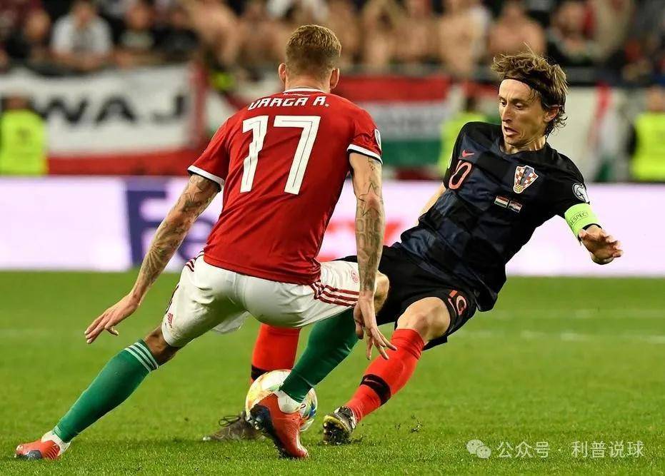 波黑对阵匈牙利，备战全力争胜的简单介绍