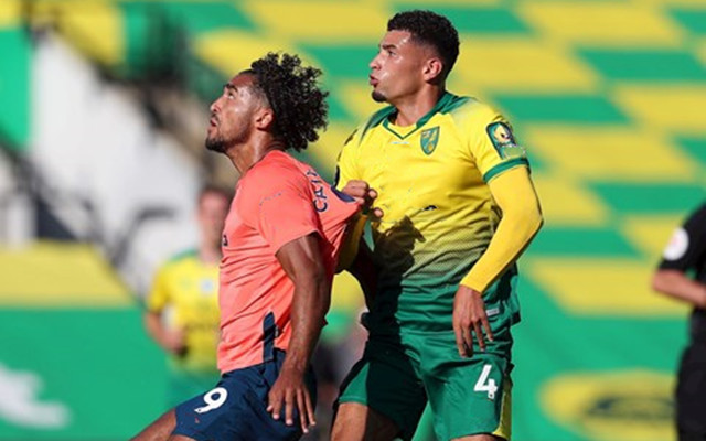 包含诺里奇主场逼平，士气高昂，球队展现实力的词条